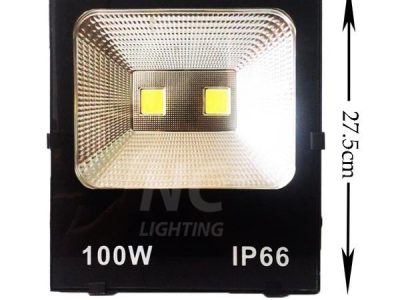 den-pha-led-cao-ap-100w