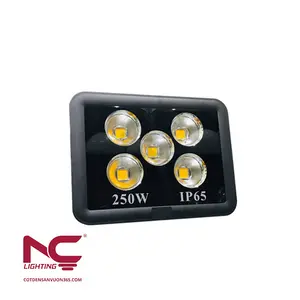 Đèn pha led 250W PNC39