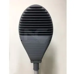 Đèn đường LED LNC52-1