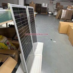 Đèn năng lượng mặt trời liền thể LNC111 Cột đèn sân vườn 365