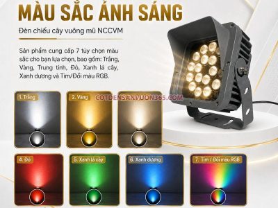 Đèn Chiếu Cây Vuông Mũ NCCVM