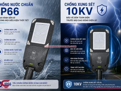 Đèn đường LED LNC-110