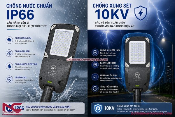 Đèn đường LED LNC-110
